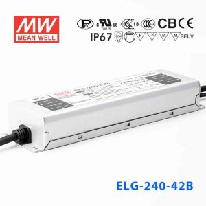 ELG-240-42B