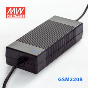 GSM220B20-R7B