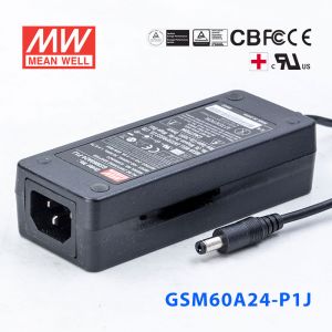 GSM60A24-P1J