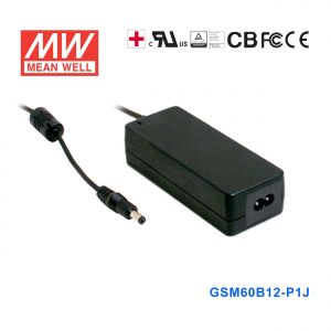 GSM60B12-P1J