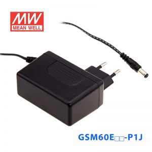 GSM60E24-P1J