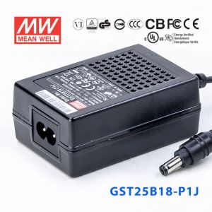 GST25B18-P1J