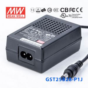 GST25B28-P1J