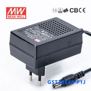 GST36E48-P1J